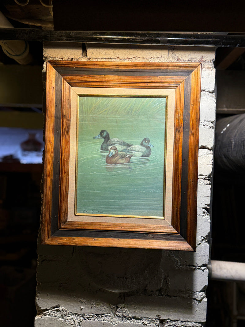 Lillian Grace Paca “The Trio – Scaup Ducks” | Signed Mid-Century American Wildlife Art