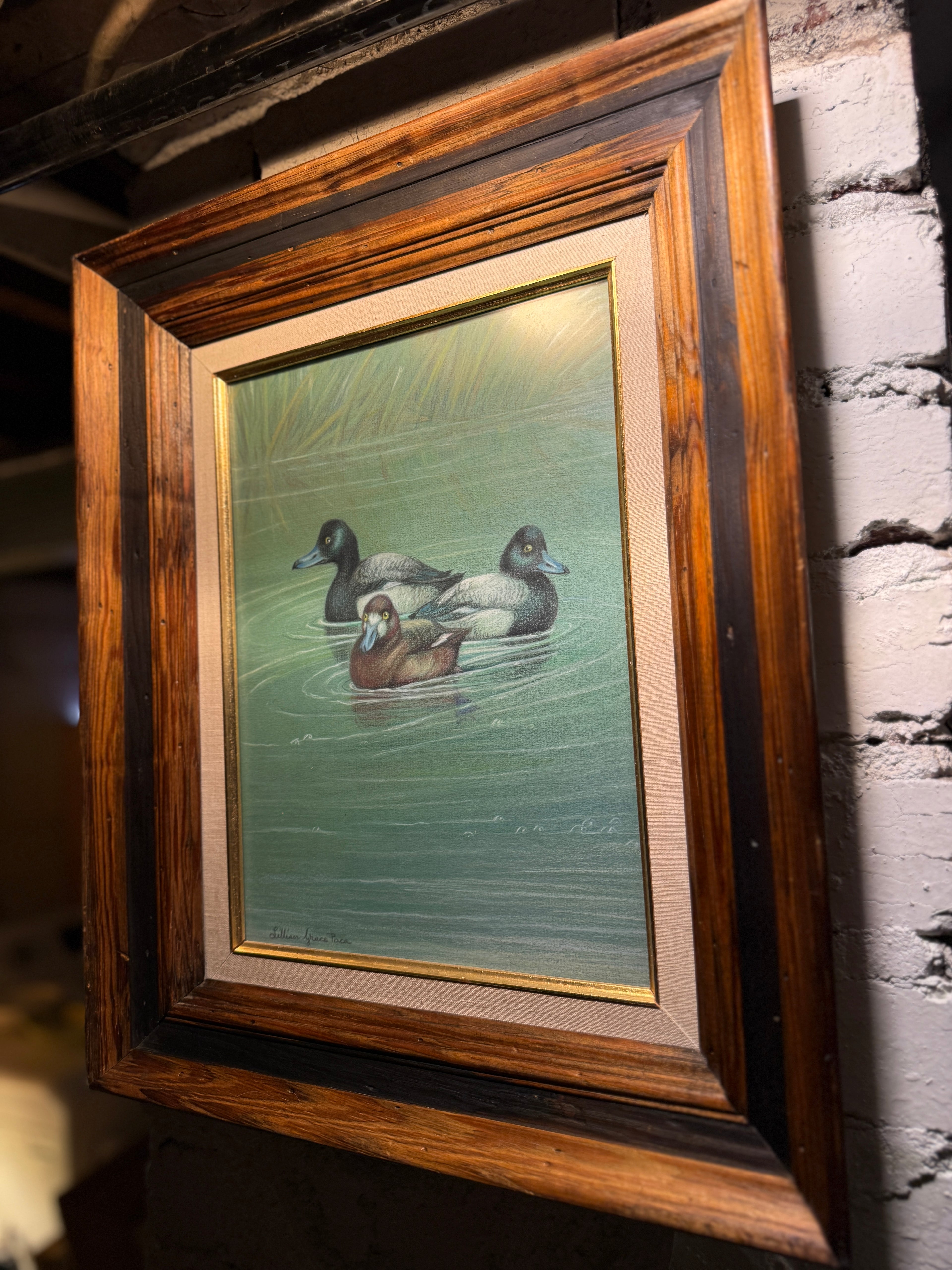 Lillian Grace Paca “The Trio – Scaup Ducks” | Signed Mid-Century American Wildlife Art