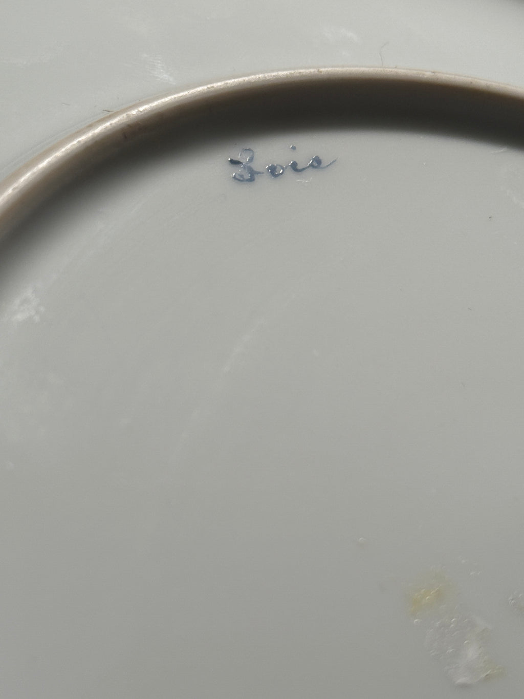 Hand-Painted Rose Plate Signed "Lois" | Vintage Porcelain Floral Wall Art c.1910–1930