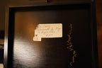 Ebonized Compartmented Collector's Box, Hand-Painted Gold Dragonflies, c. Mid-20th Century