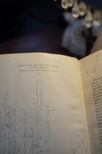 "The American People" by Muzzey — Antique 1929 History Textbook with 1920s Student Ephemera, Hoquiam, WA