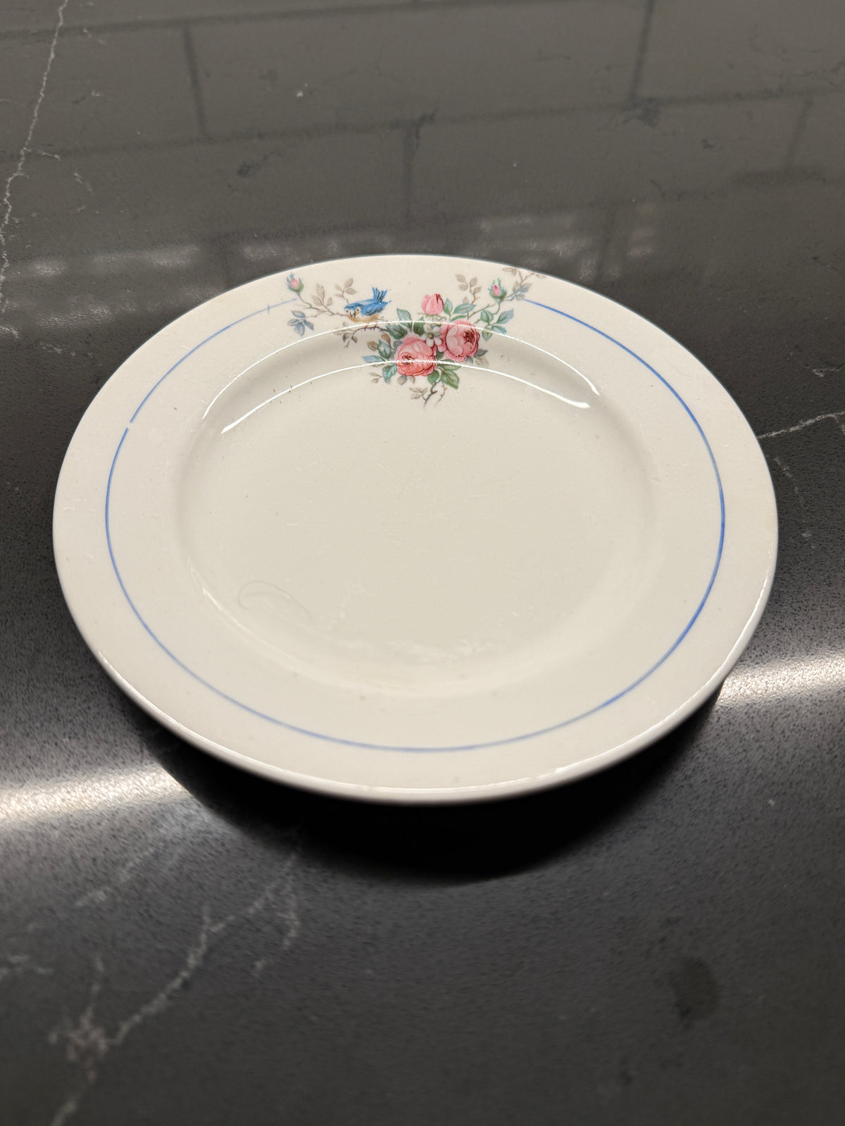 Vintage Canonsburg Floral Plate (1950s–60s) – Roses & Bluebird Bread-and-Butter Dish